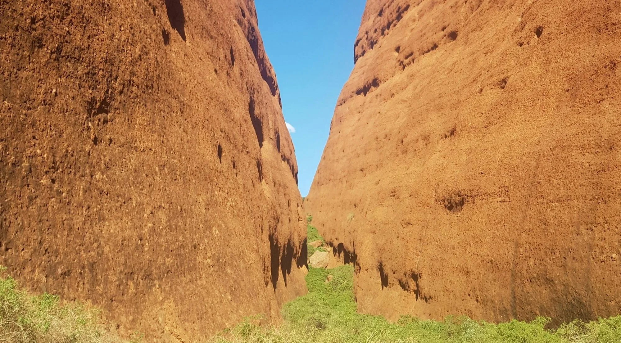 Narrow gorge between two sheer Kata Tjuta domes with green scrub on the floor