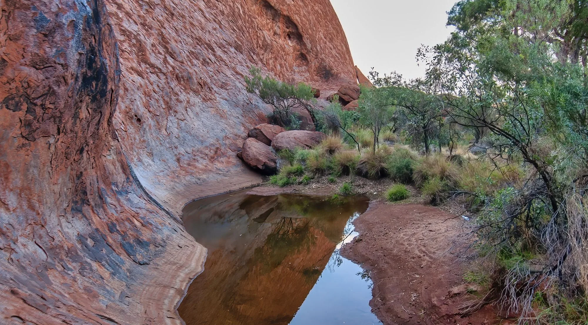 Still waterhole beneath a curved red rock wall at the base of Uluru
