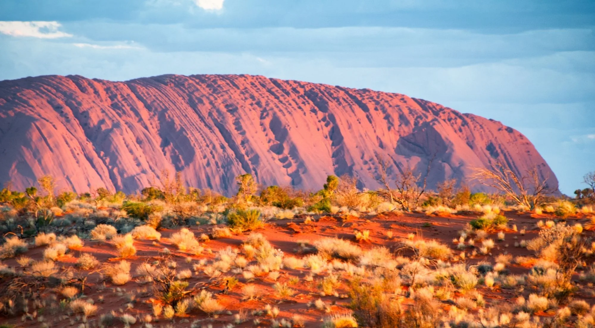 Uluru in afternoon light above red sand and spinifex