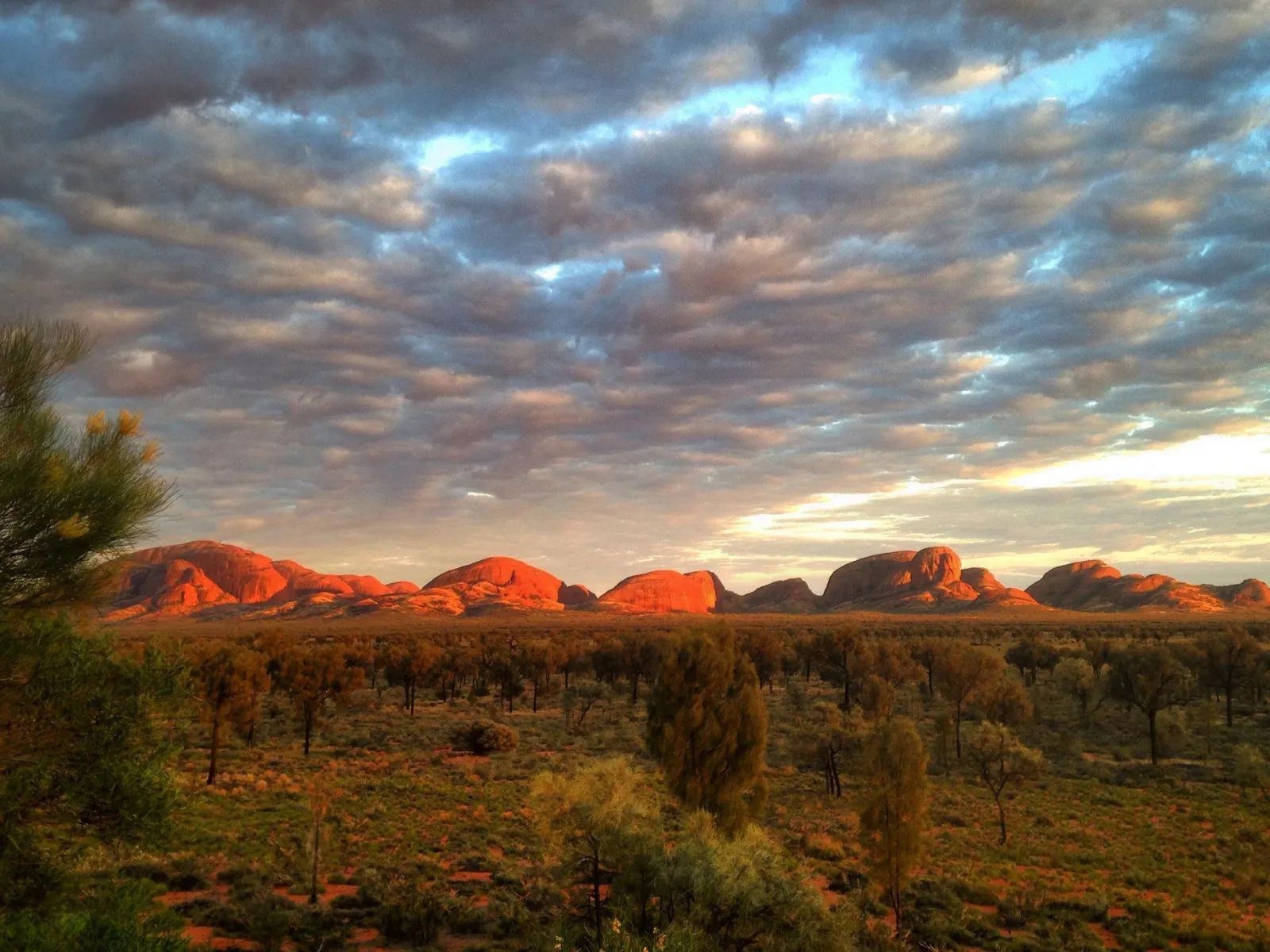 Kata Tjuta: Small Group Sunrise Tour with Picnic Breakfast