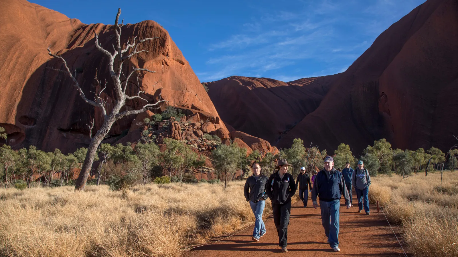 Small group following a guide along a red dirt path between golden grass and Uluru's rock walls