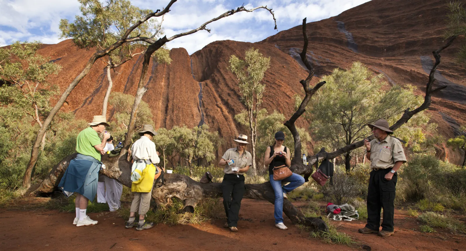 Walkers pausing for breakfast by a fallen tree trunk beneath the streaked red side of Uluru
