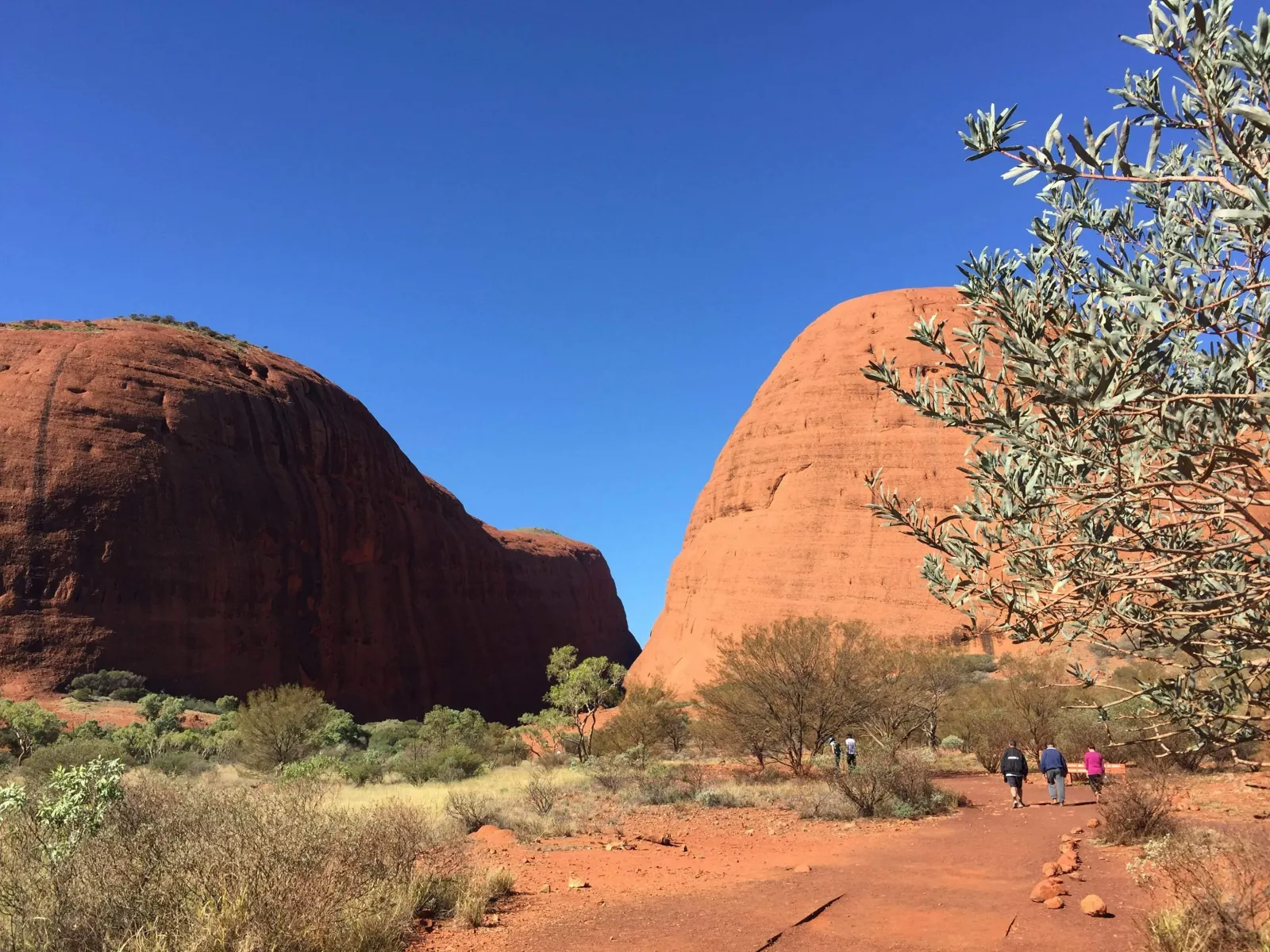 From Yulara: 3-Hour Small Group Kata Tjuta Afternoon Tour