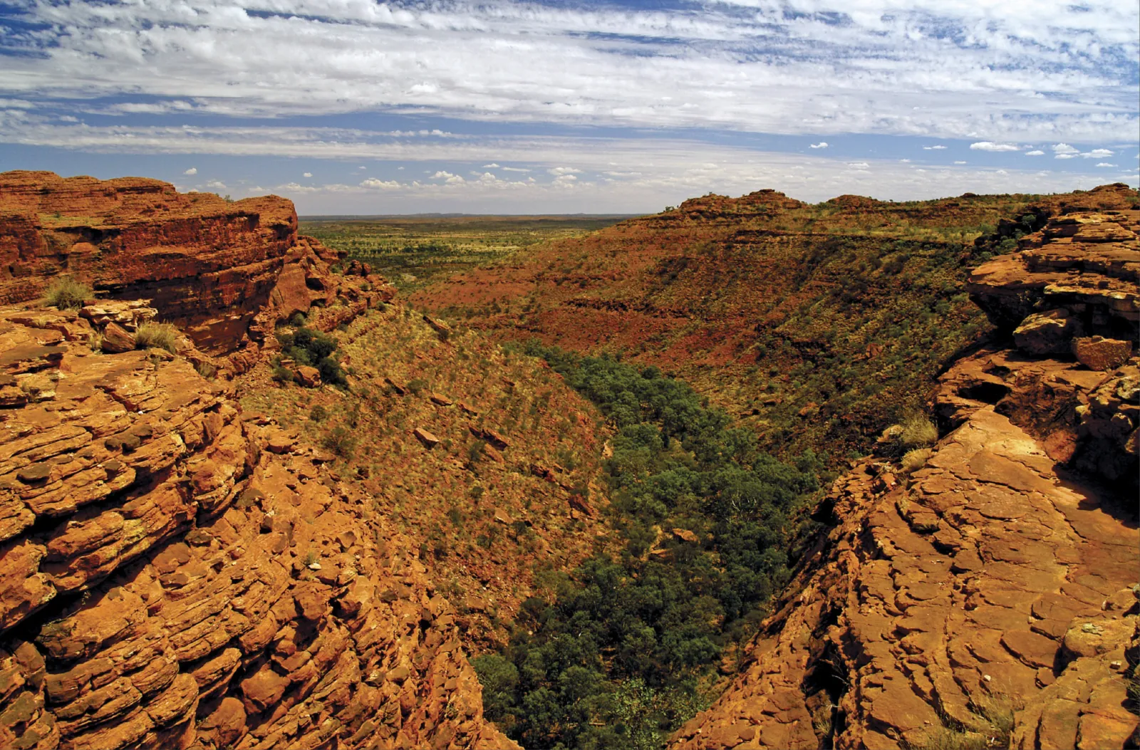 Layered red rock ledges framing a tree-lined gully that runs out to the flat plains beyond Kings Canyon