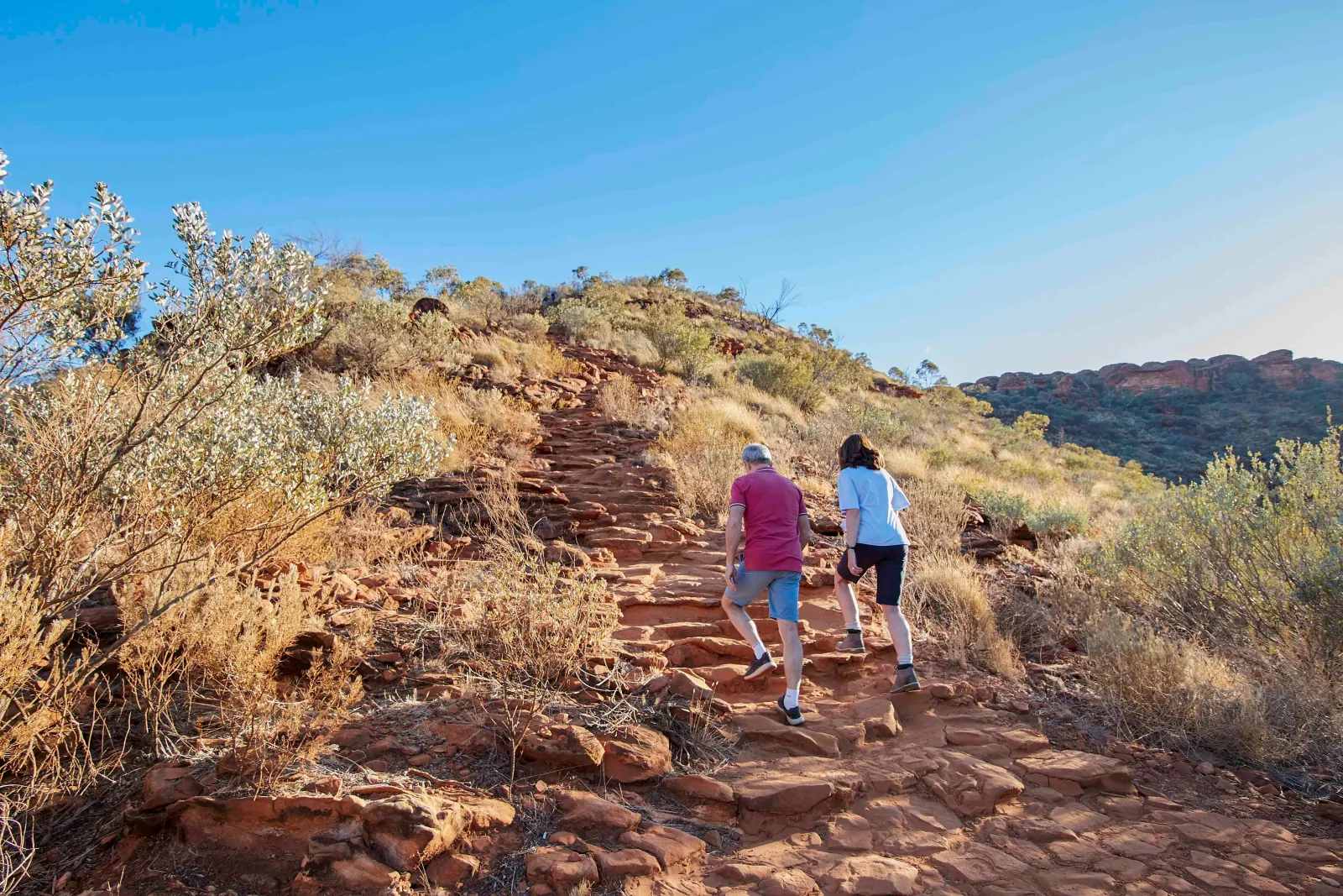 Couple walking up the steep rock steps at the start of the Rim Walk past silver-leafed desert shrubs