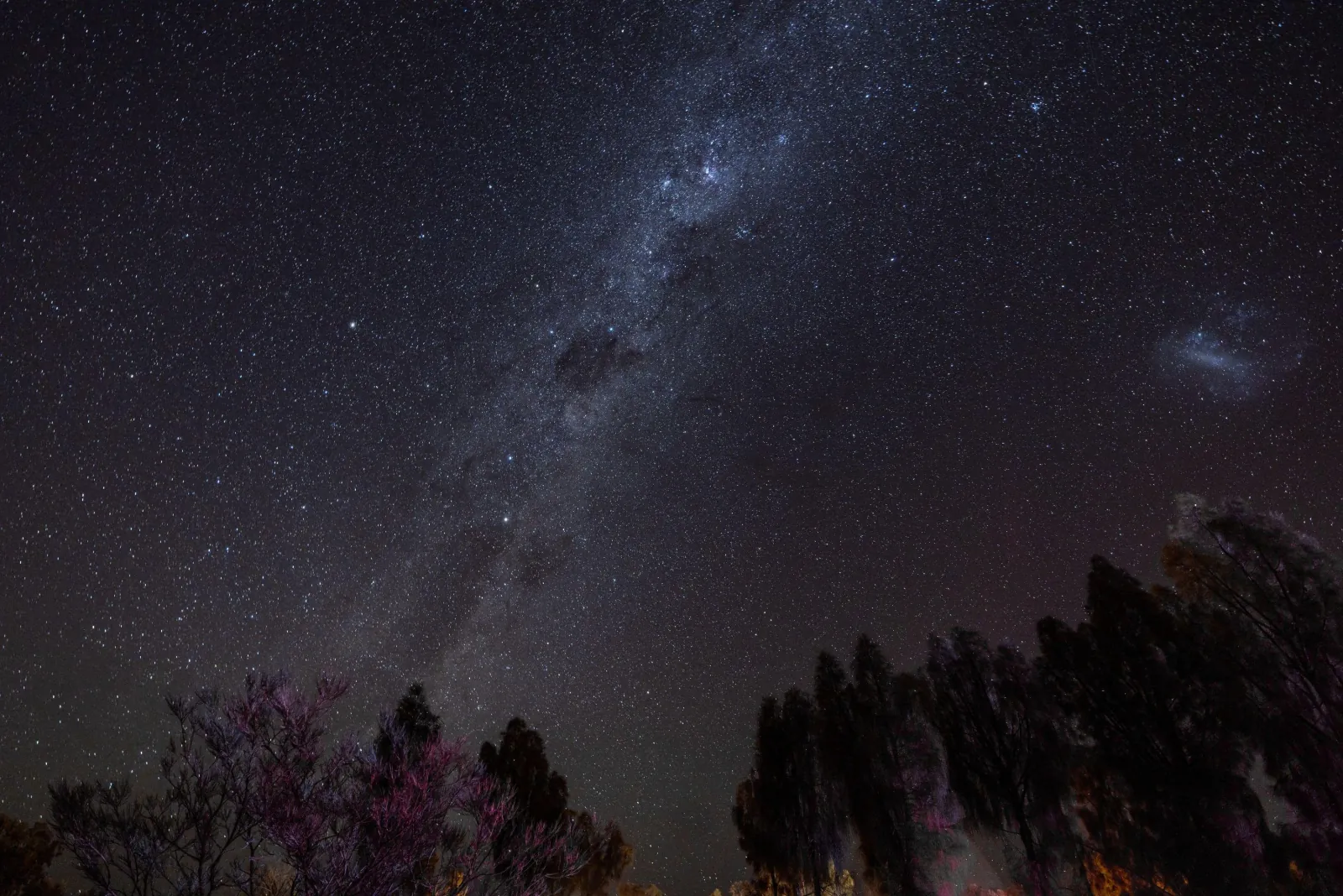 Milky Way and Magellanic Cloud stretching over silhouetted desert oaks in the night sky