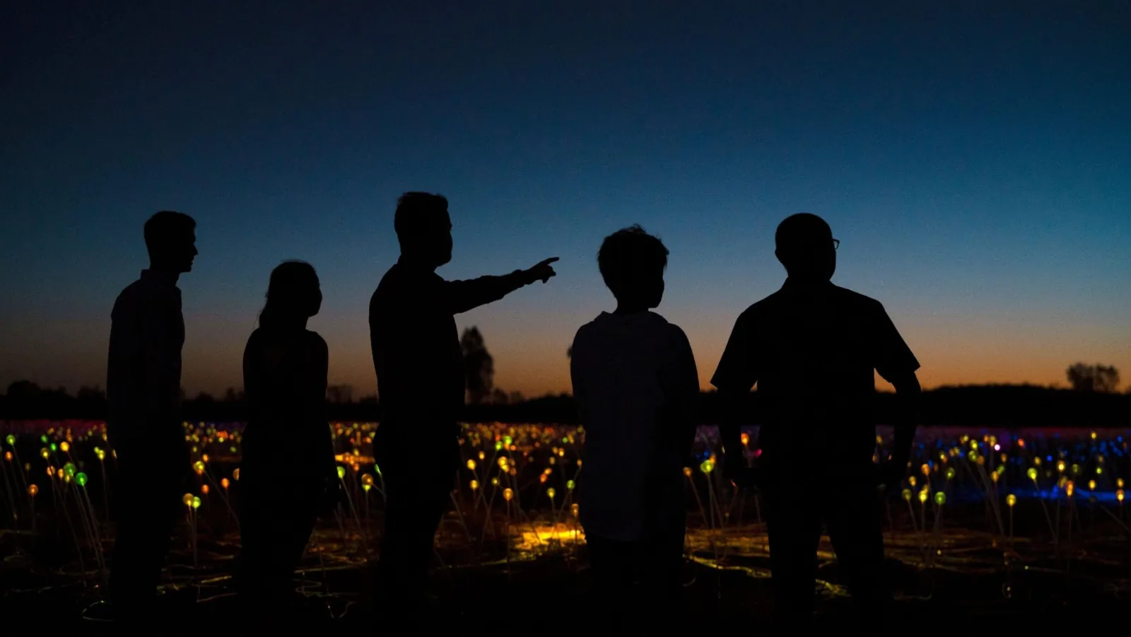 Silhouetted group with a guide pointing across the lit Field of Light under a pre-dawn sky