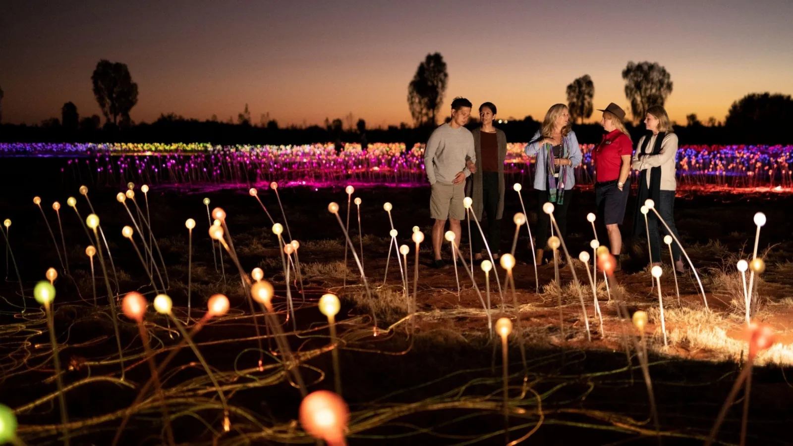 Uluru: Field of Light Sunrise Tour with Hot Drinks
