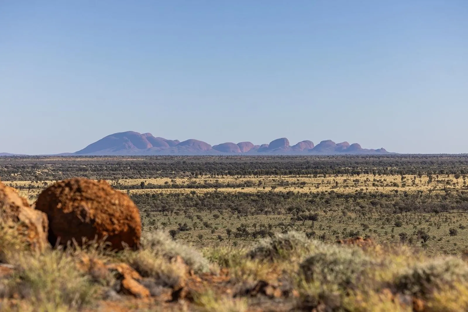 Distant line of Kata Tjuta domes on the horizon beyond a wide plain of green desert scrub