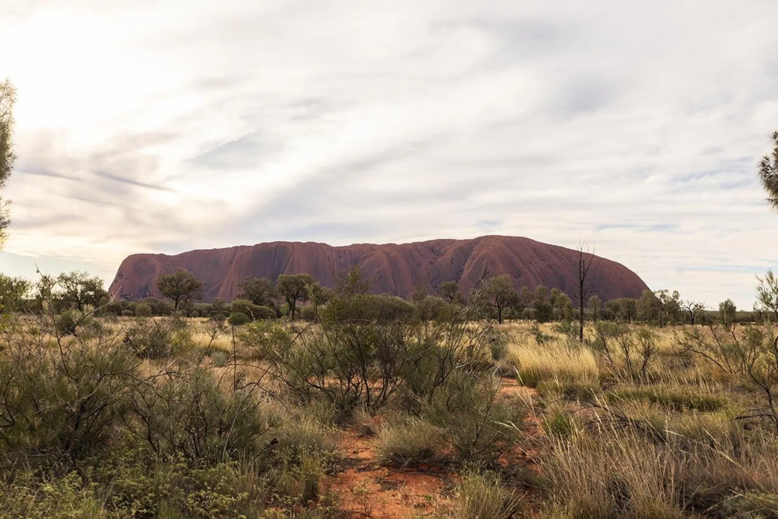 Uluru: Small Group Sunset Tour with Sparkling Wine