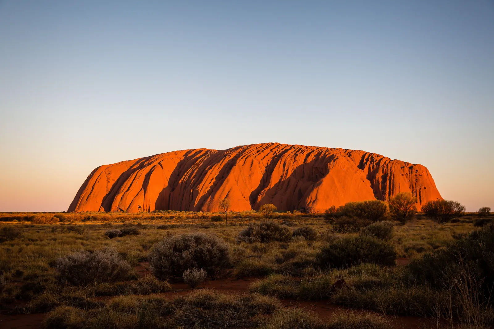 Uluru glowing orange at sunset above low desert shrubs and grassland