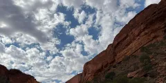 Guest photo from review