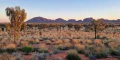 Guest photo from review