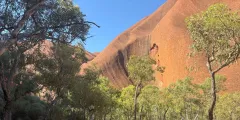 Guest photo from review
